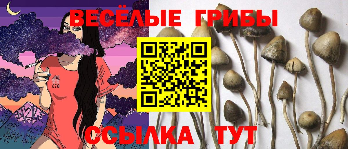 Старый Оскол  Псилоцибиновые грибы Magic Shrooms  Вход с VPN 